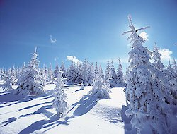 ❤️ Sehenswürdigkeiten im Bayerischen Wald für 2023 entdecken